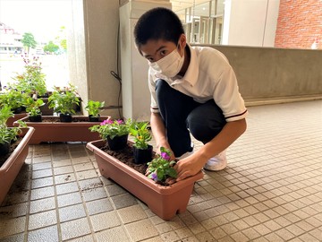 栽培・緑化委員会の活動【九州学院中学校のおしらせ】九州学院中学校 - 熊本